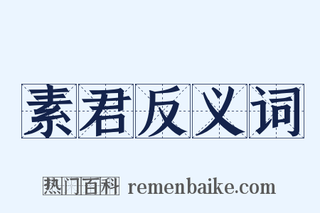 素君反义词是什么意思的图片